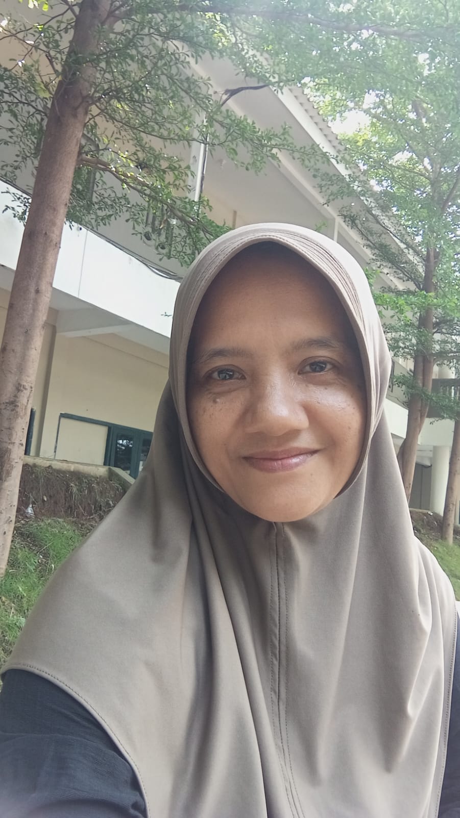 Ibu